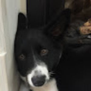 Meet your Posher, Elise